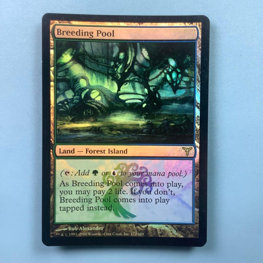 繁殖池/Breeding Pool  DIS英語foil