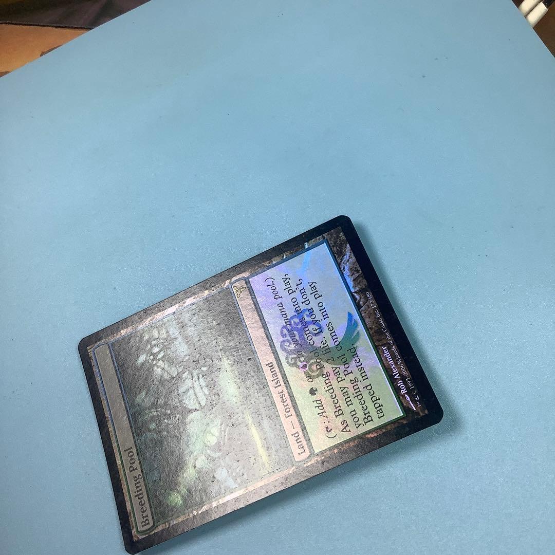 繁殖池/Breeding Pool  DIS英語foil