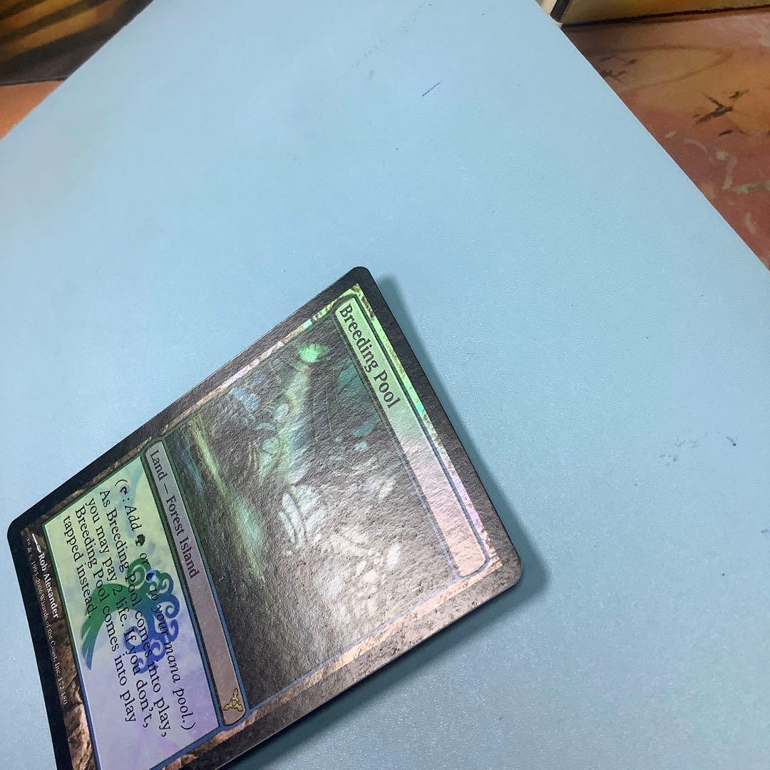 繁殖池/Breeding Pool  DIS英語foil