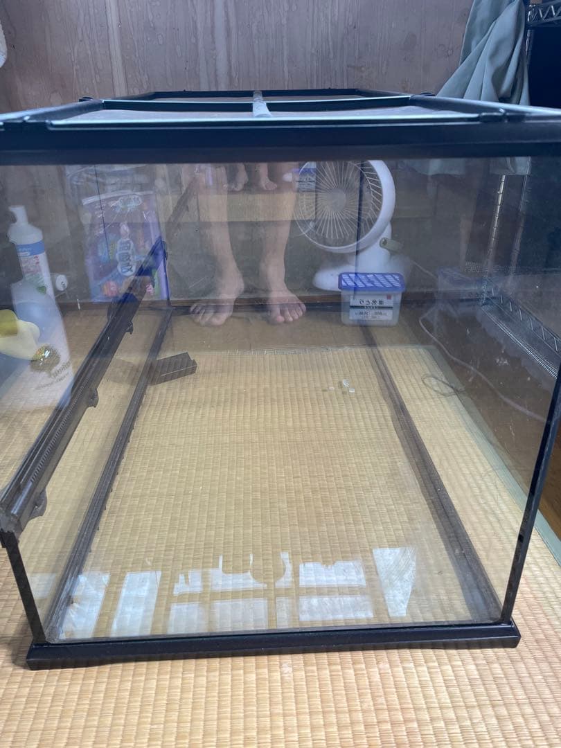 引取限定 GEX グラステラリウム9045 爬虫類 ケージ