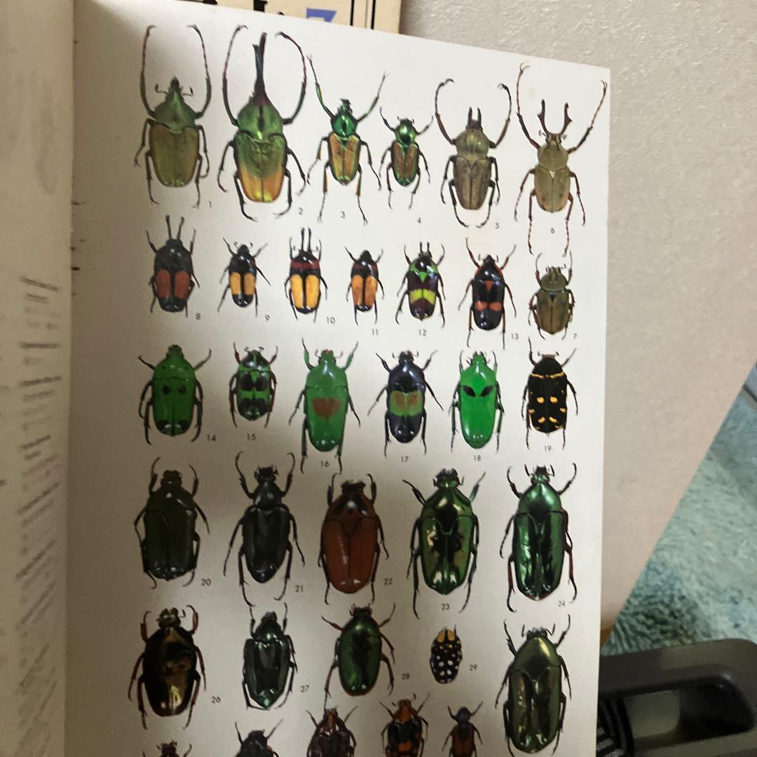 世界の昆虫1〜6図鑑