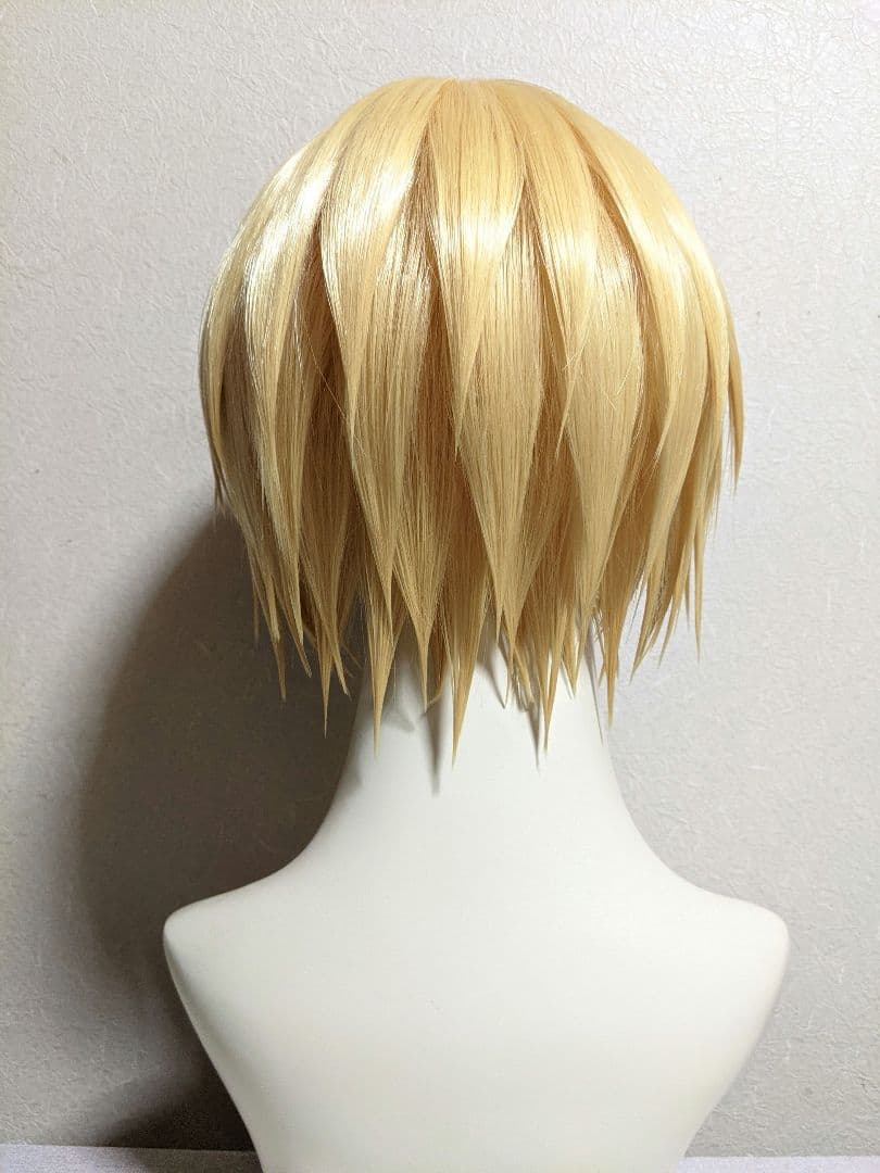 【ネット付】✥クラピカ ウィッグ✥セット済 HUNTER×HUNTE