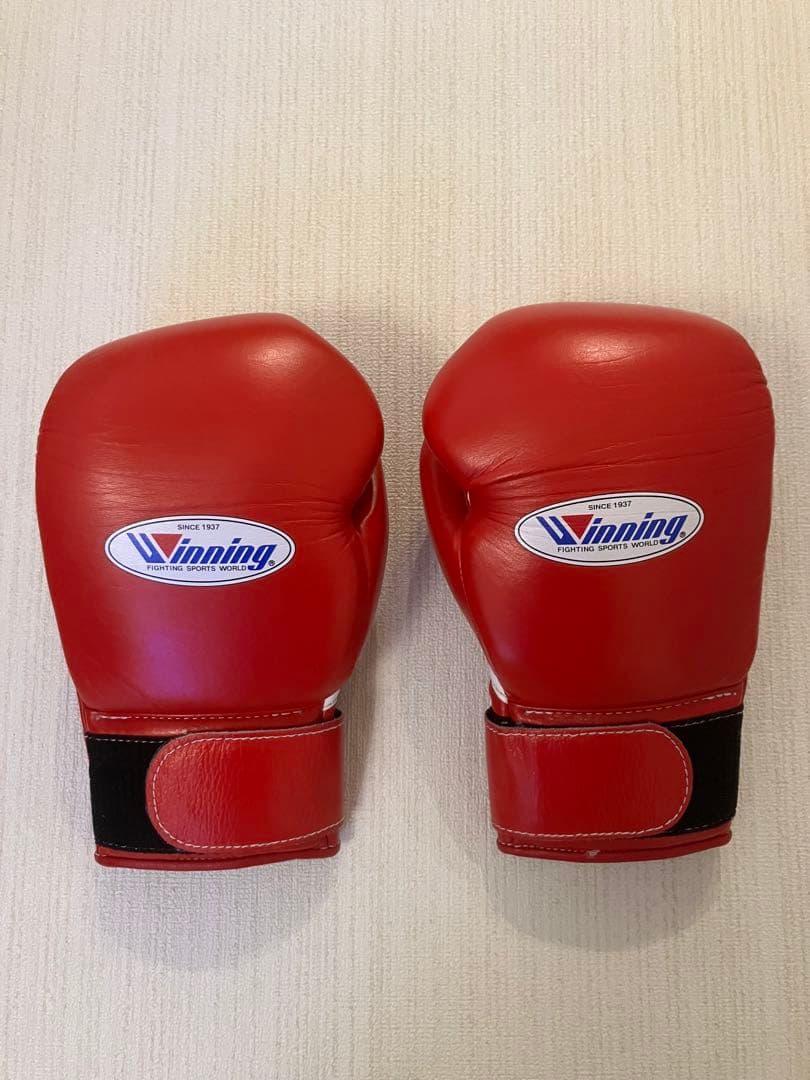 winning ウィニングボクシンググローブ レッド 10オンス MS-300B