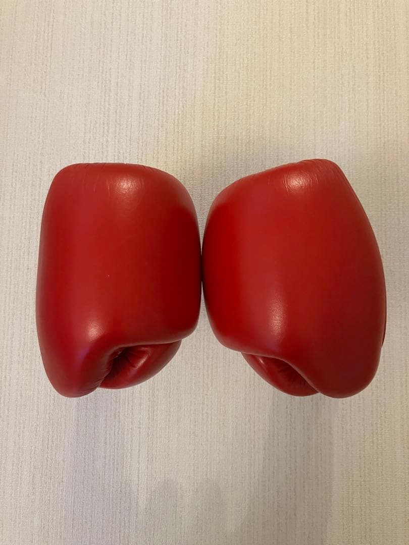 winning ウィニングボクシンググローブ レッド 10オンス MS-300B