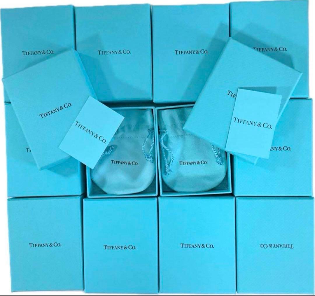 現行品Tiffany ティファニー　空箱　巾着　取扱説明書