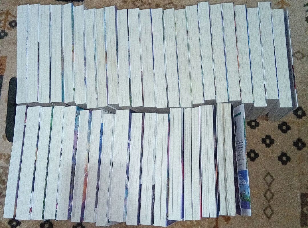 リゼロ 小説 ラノベ