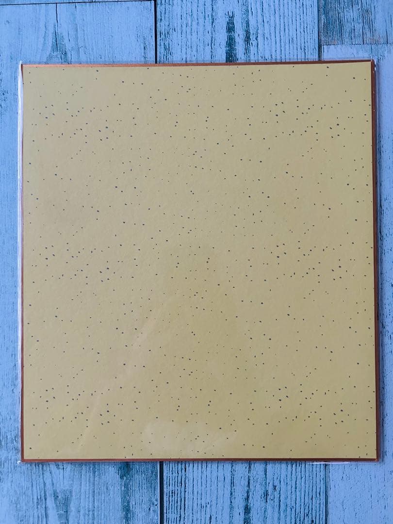 ロコソラーレ カーリング アドヴィックスカップ2025 サイン色紙