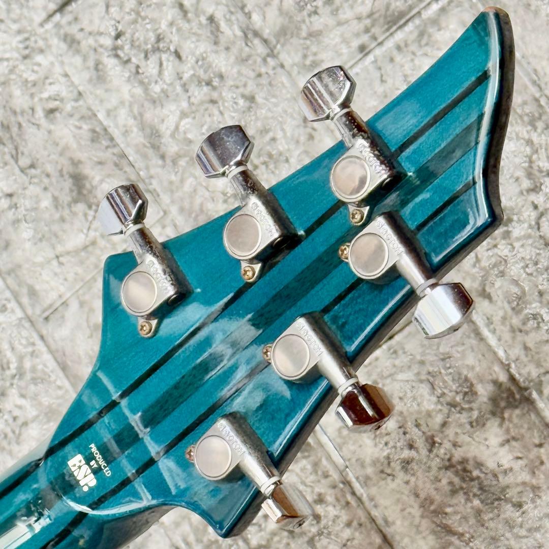 Edwards「E-FR-145GT」フォレストシェイプ