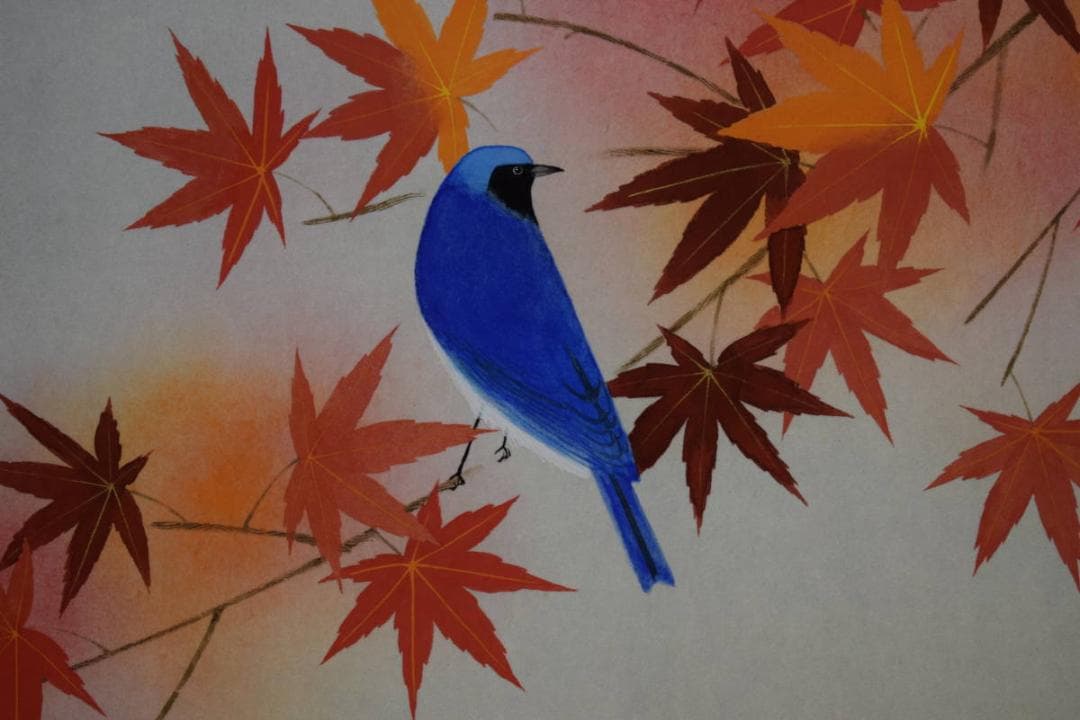 真作/小山田典彦/紅葉小禽図/金泥/桐共箱太巻箱付/布袋屋掛軸HI-278