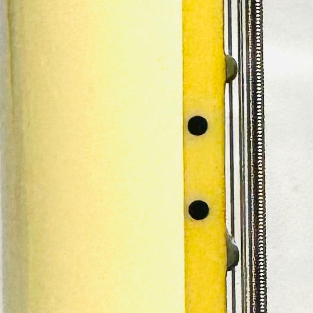 超希少 限定ギター Schecter Black jack ATX Solo-6