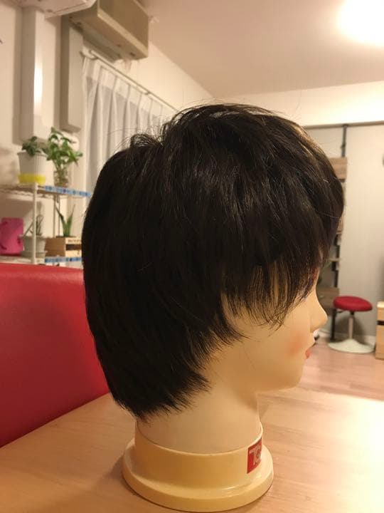 ウィッグ（人毛）12万円　ネット付き（未使用）
