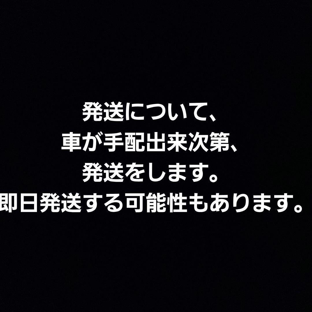 新品多数あり　ポケモンセンター　ぬいぐるみ　等身大　マスコット　まとめ
