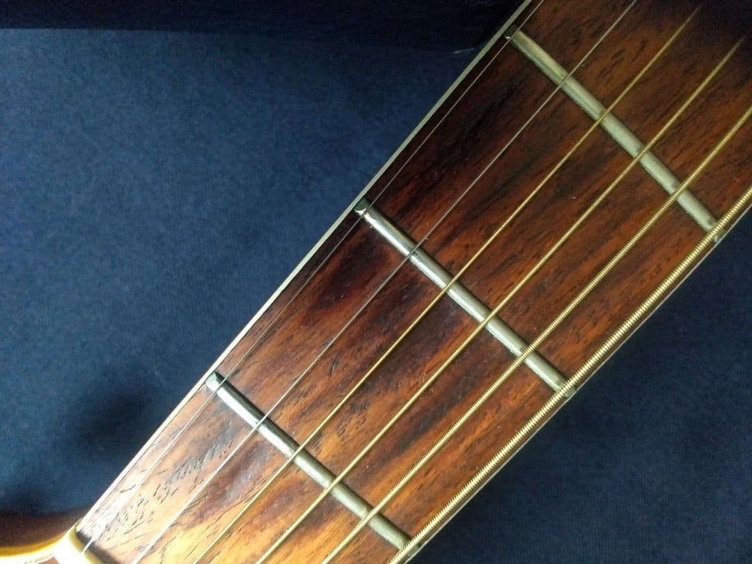 TAKEHARU GUITAR　WT-250　made in Japan