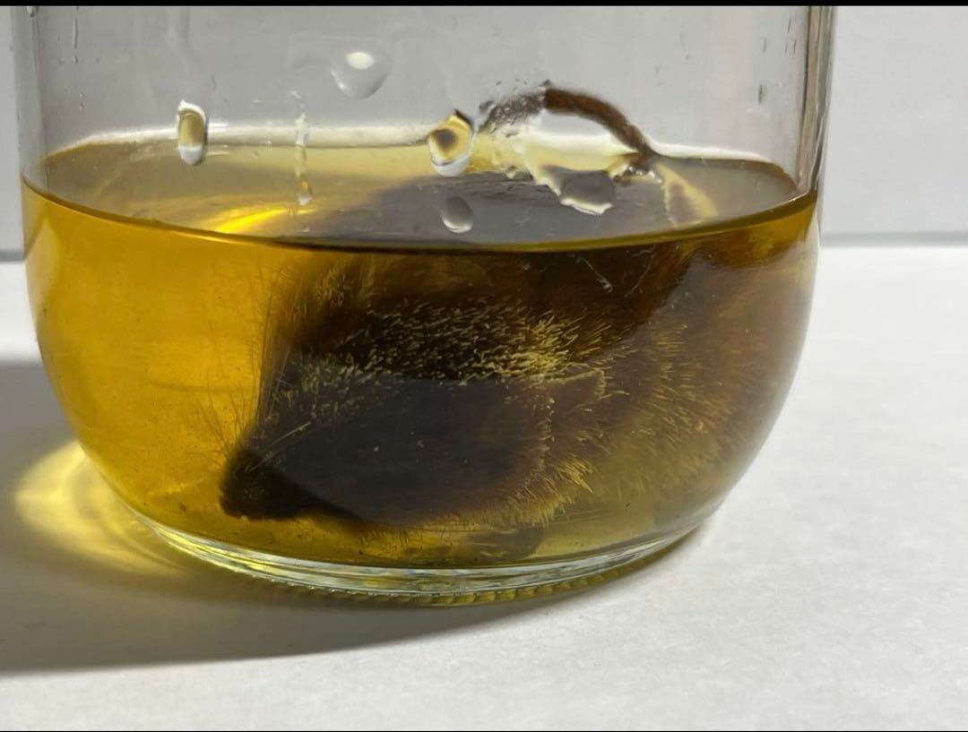 モグラページ　リクエスト2点