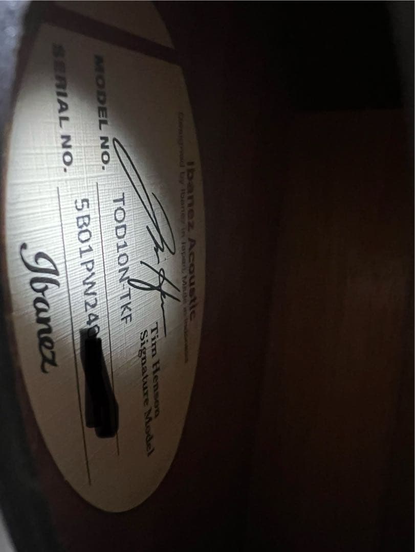 Ibanez TOD10N（Tim Henson シグネチャー / ナイロン）