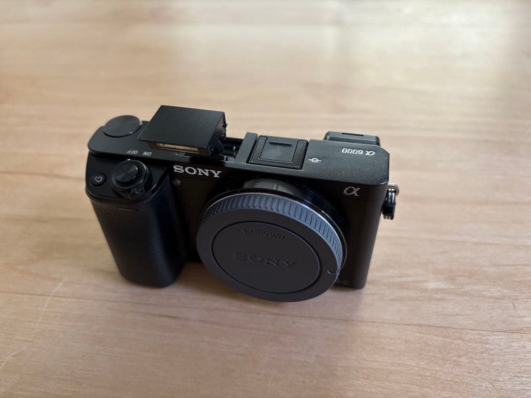 ミ*ギ様 SONY α6000 ボディ＋付属品