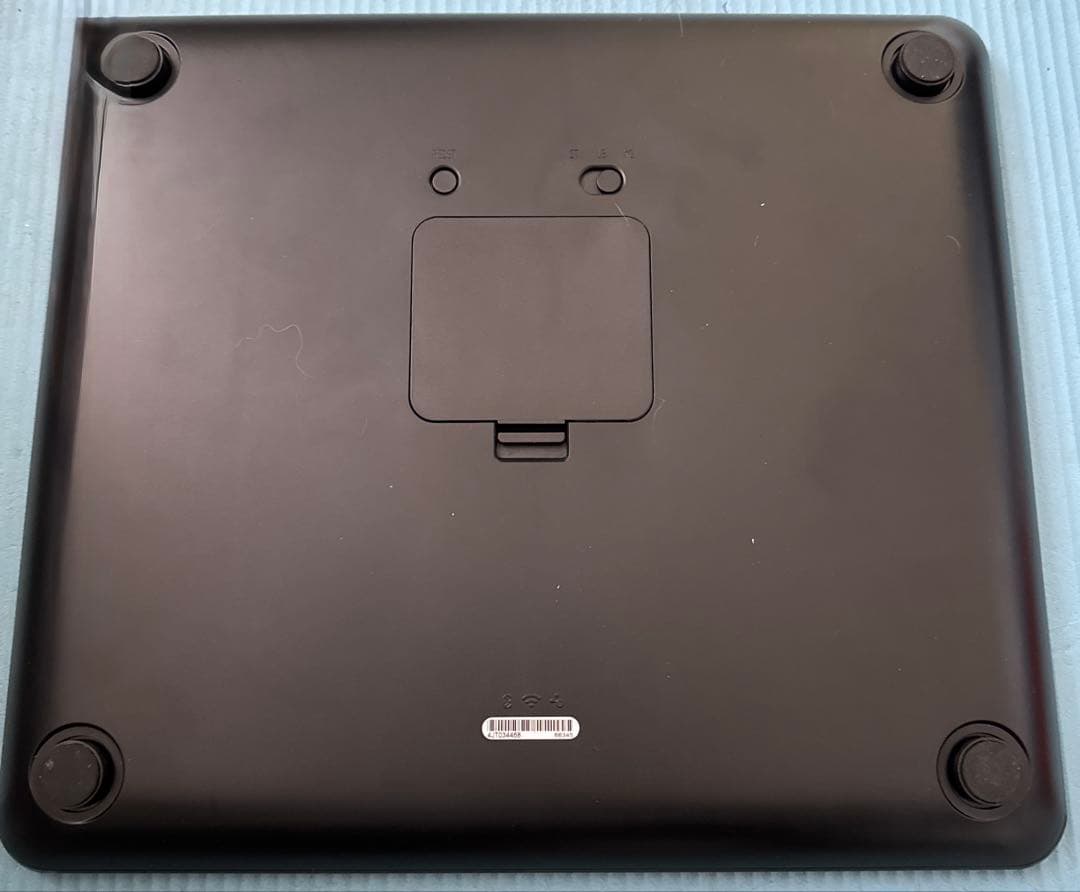 GARMIN Indexスマートスケール