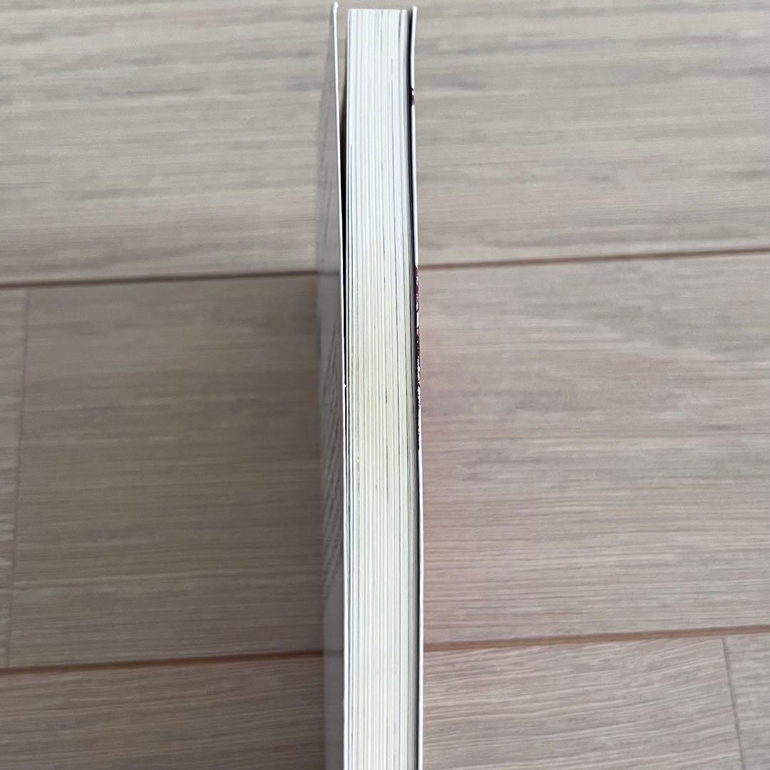 希少　Devil May Cry2・デビルメイクライ2(角川スニーカー) 文庫