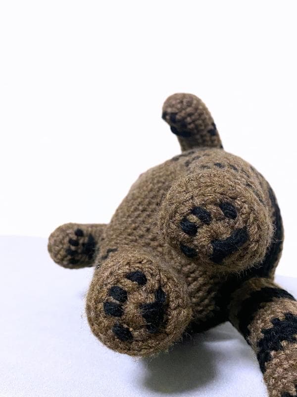 いっしょにおでかけ♪フード付きマフラーのキジトラ猫さんのあみぐるみ