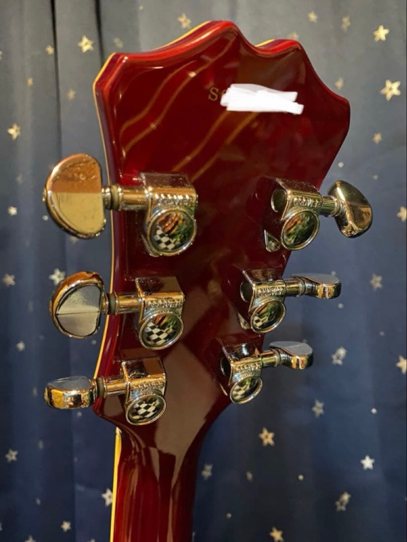 Aria Pro 2 TA-700 (Ritter Gig Bag付き)