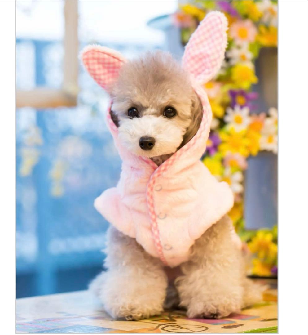 ブルブブ★最新うさこファーパーカーSSSピンク☆新品★ジャケットベスト