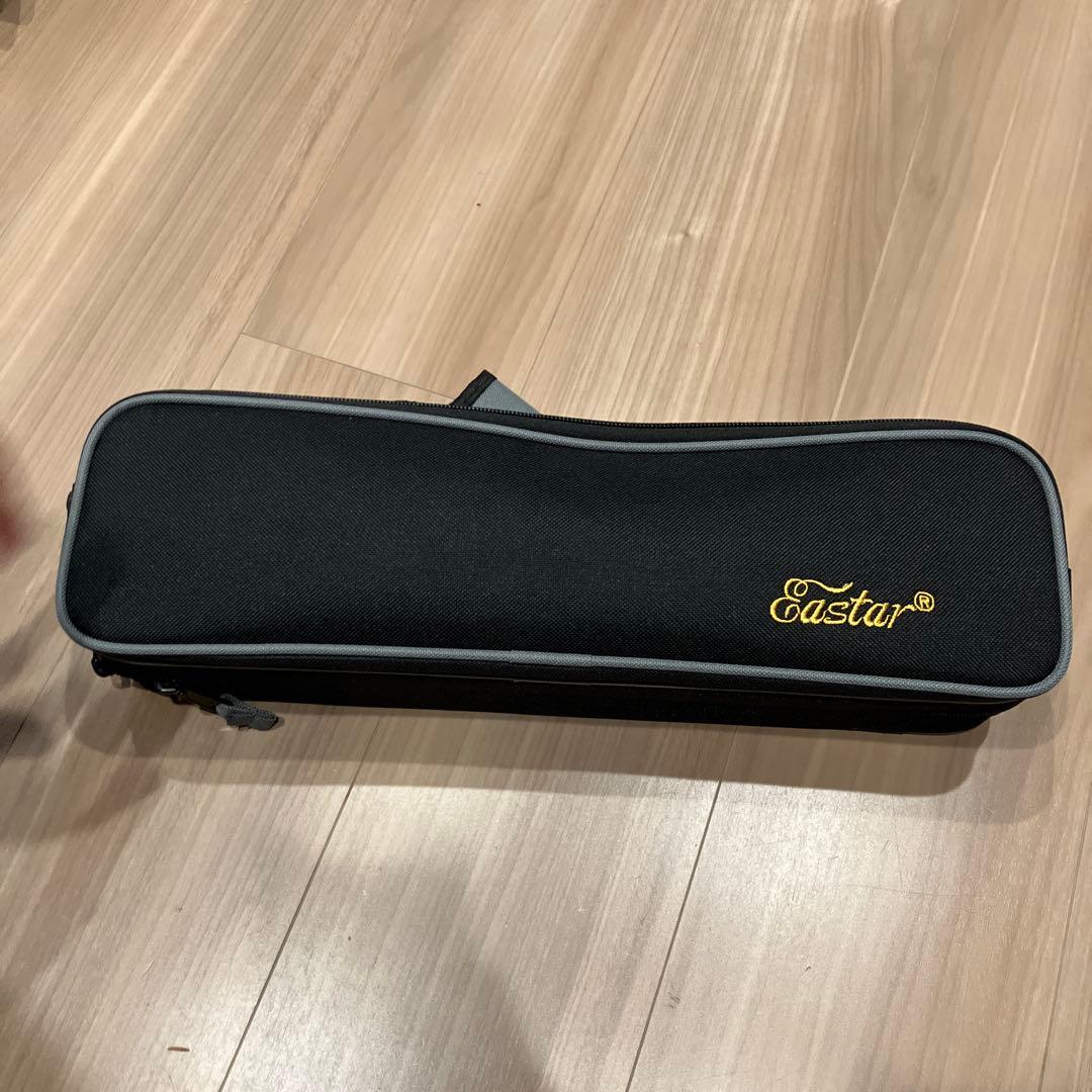 Eastar フルート本体 ケース付き
