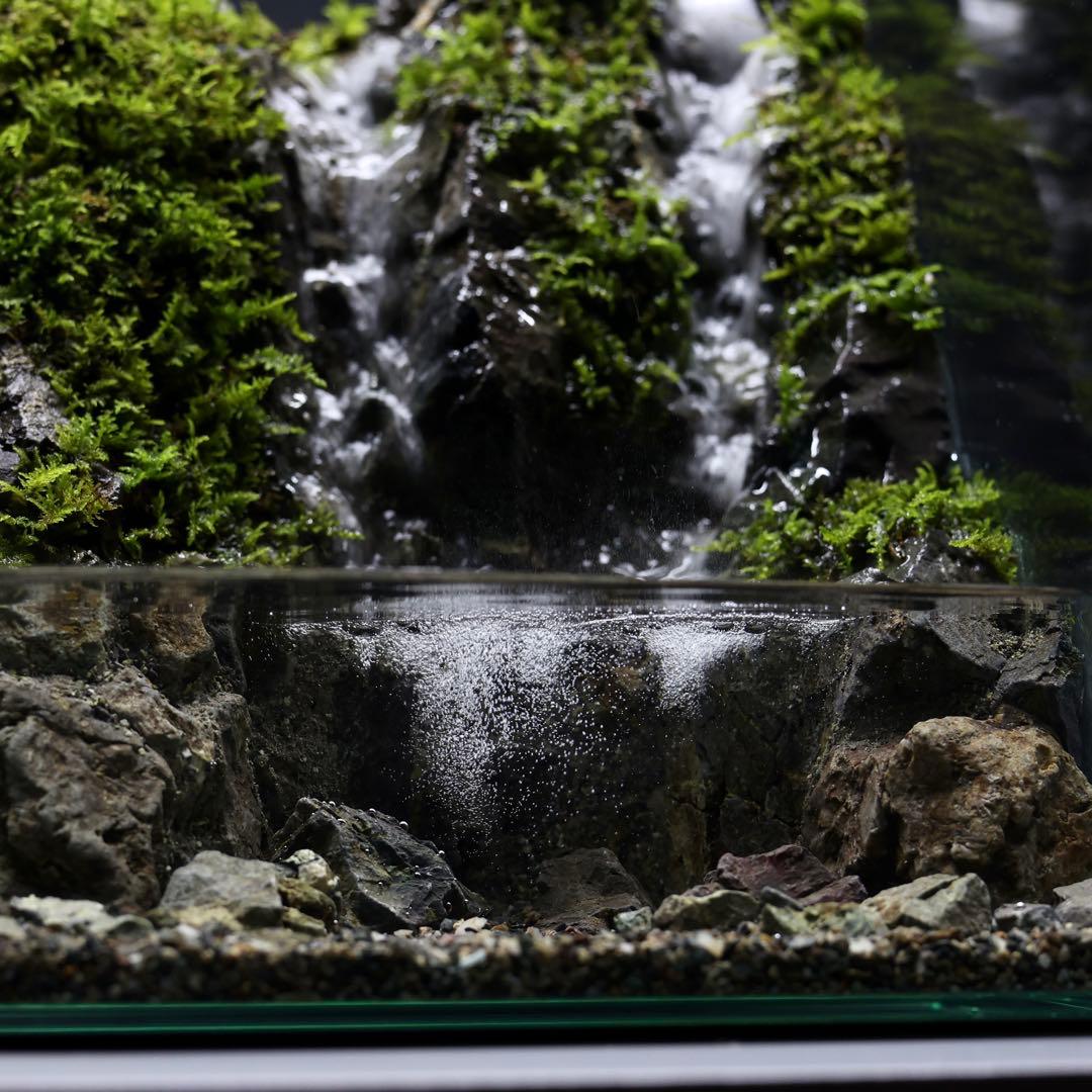 アクアテラリウム　レイアウト作品　228