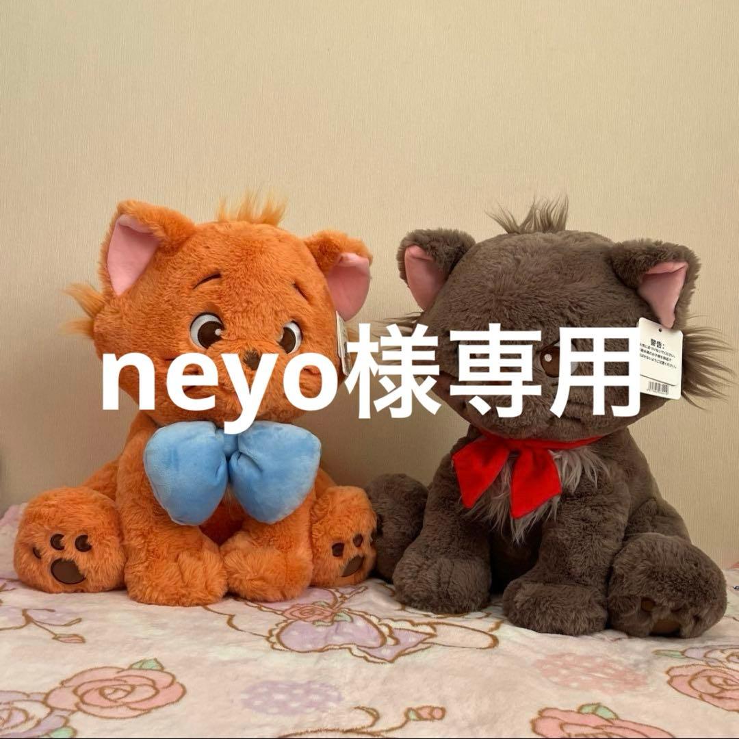 その他 neyo