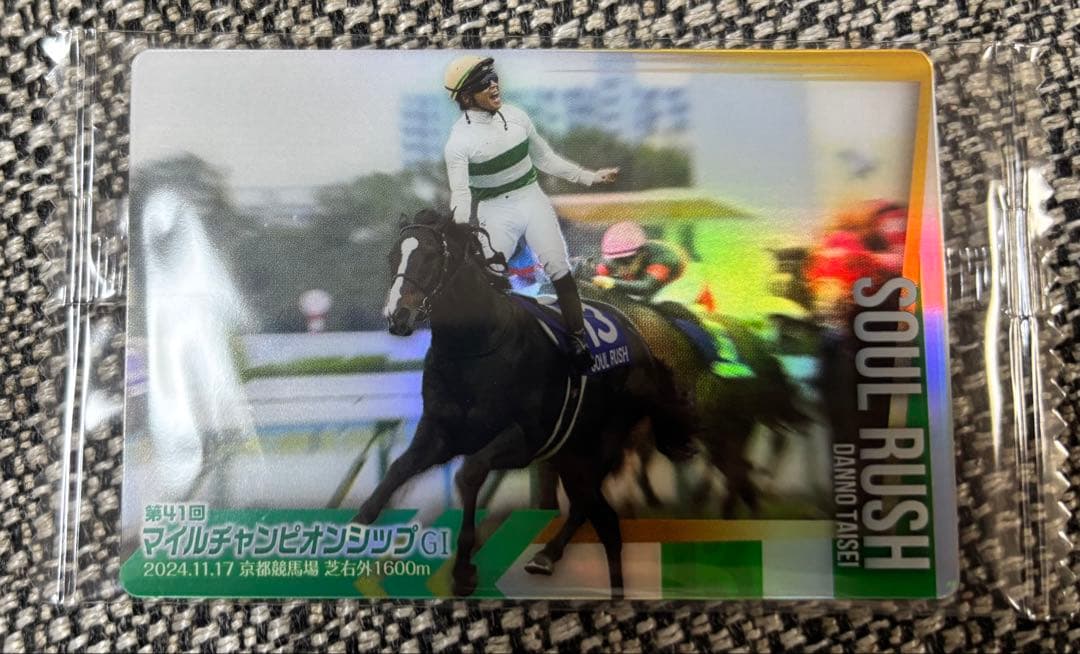 団野大成　過怠金カード　ソウルラッシュ