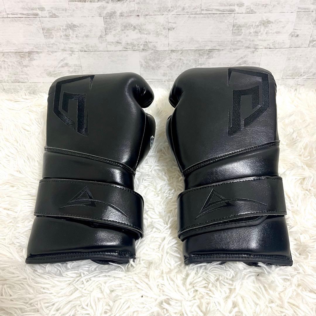 新品　未使用　GRIT BOXING GLOVE ボクシンググローブ