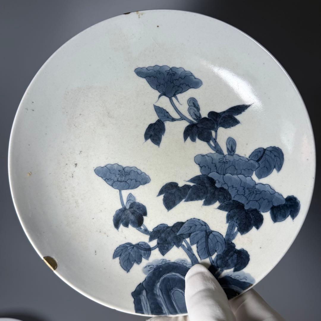 後期鍋島　染付芙蓉文中皿　六客　江戸後期〜明治初期　同手図録掲載品　20.7cm