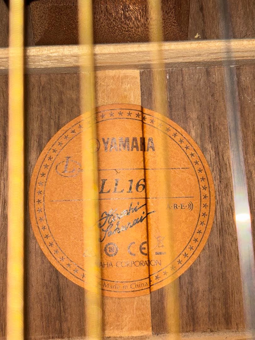 Yamaha LL16 ARE LR Baggs ANTHEM SL別売アリ