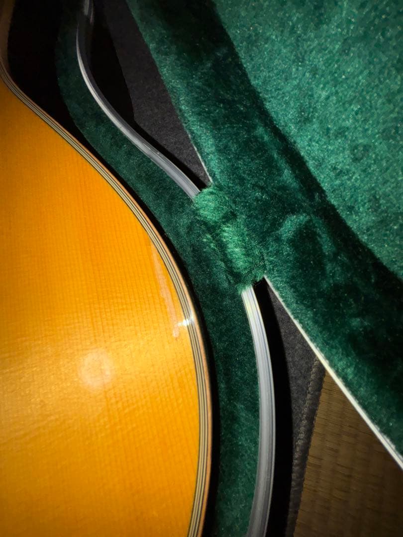 Yamaha LL16 ARE LR Baggs ANTHEM SL別売アリ