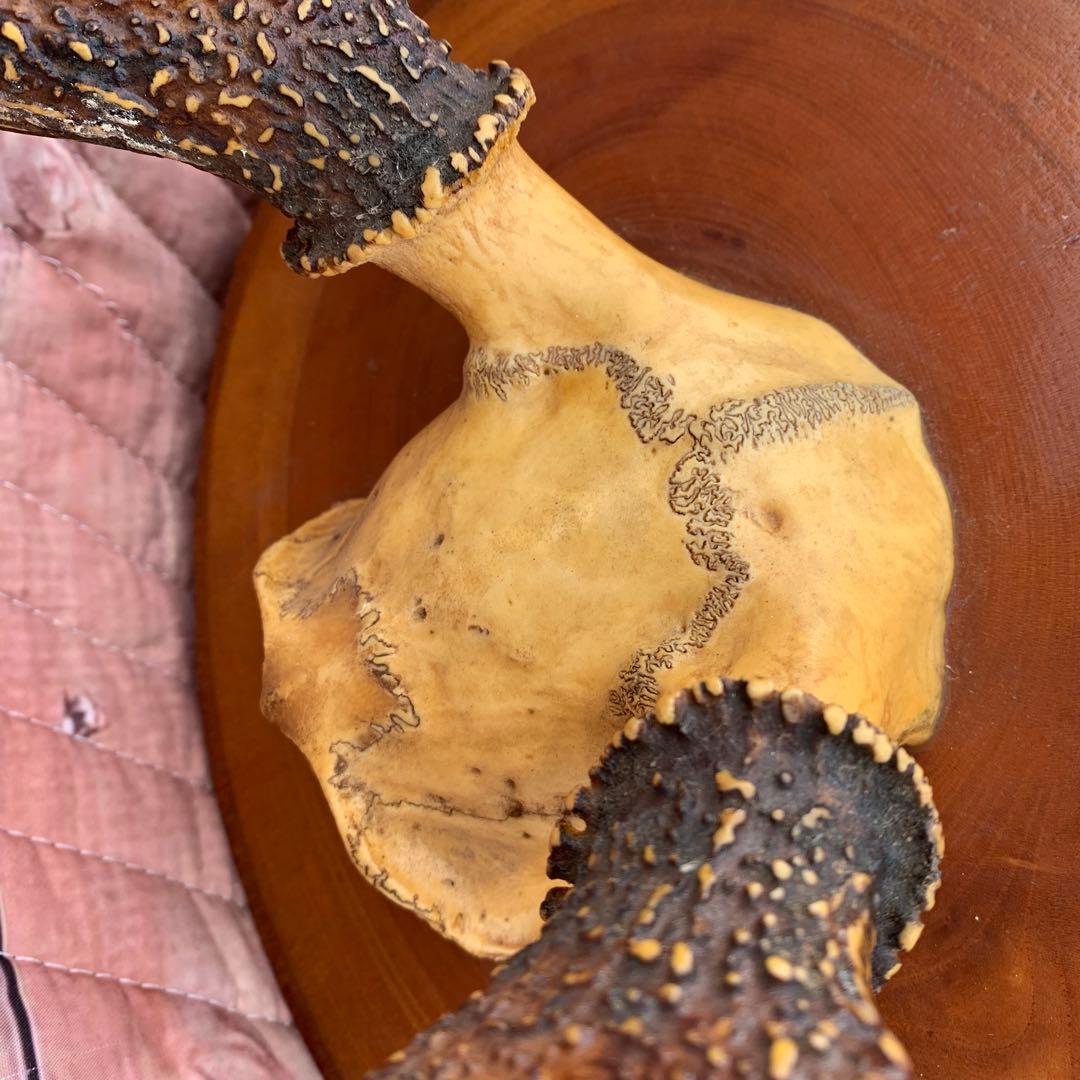 刀掛け　日本刀　模造刀