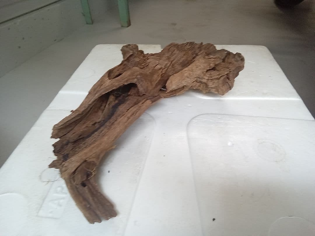 流木　詰め合わせ