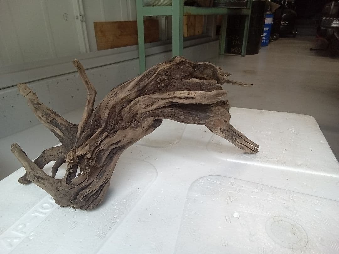 流木　詰め合わせ