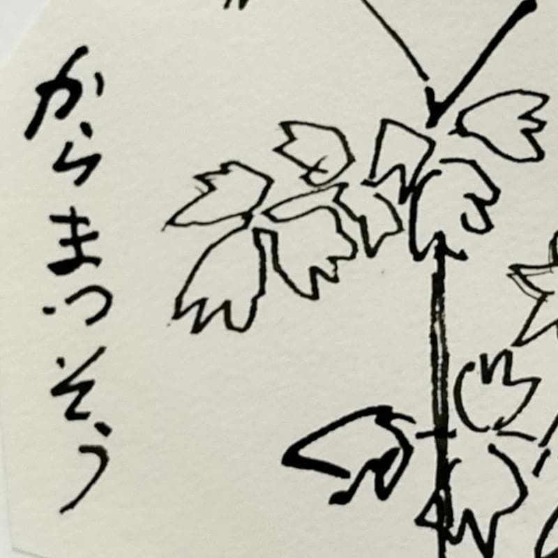 ☆坂本直行☆「 からまつそう 」ペン画　インチサイズ　未使用！