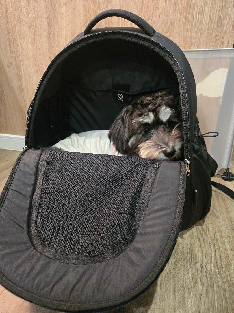 ssoook ペットキャリーバックパック ブラック