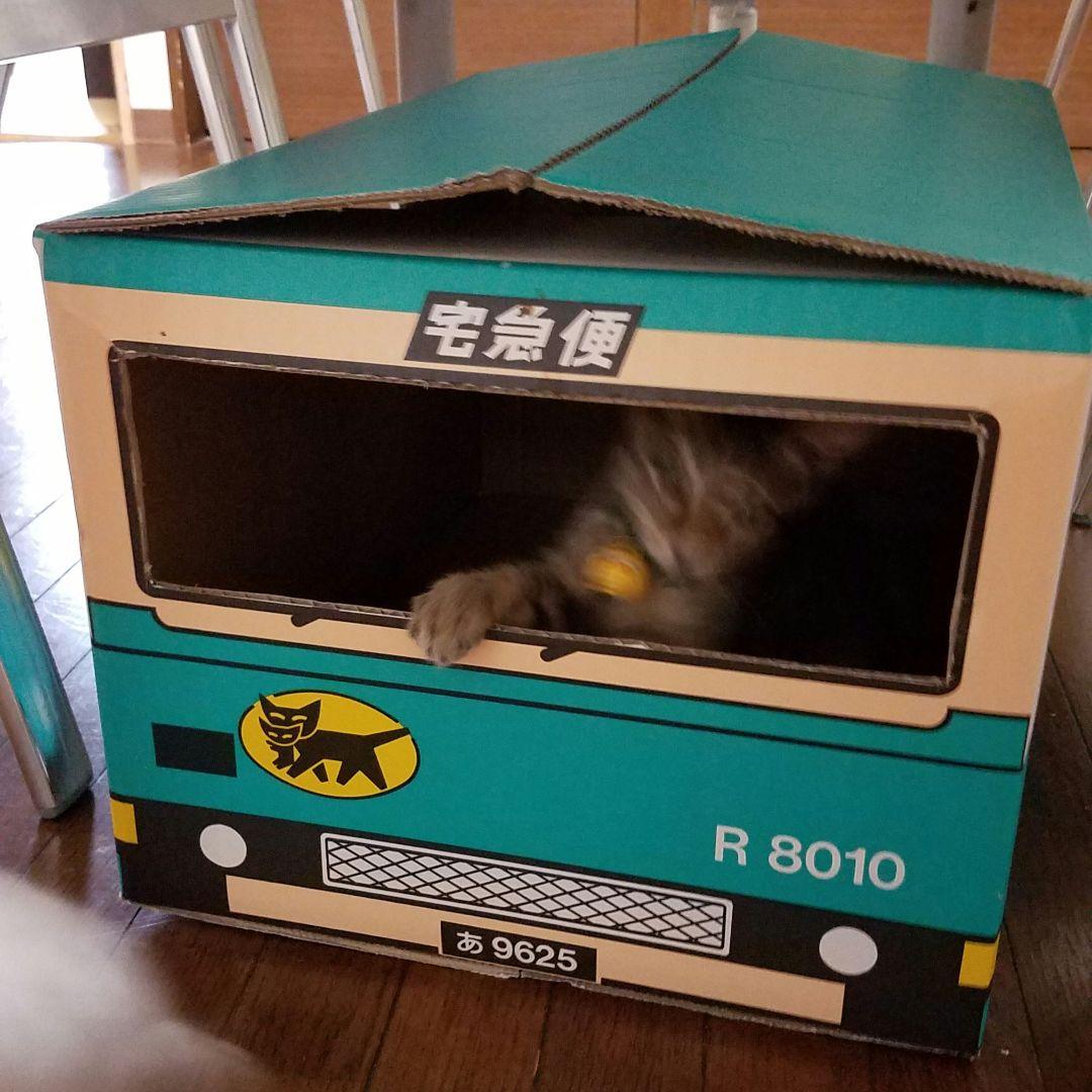 ヤマト運輸　クロネコヤマト　ウォークスルーボックス段ボール★2枚セット★