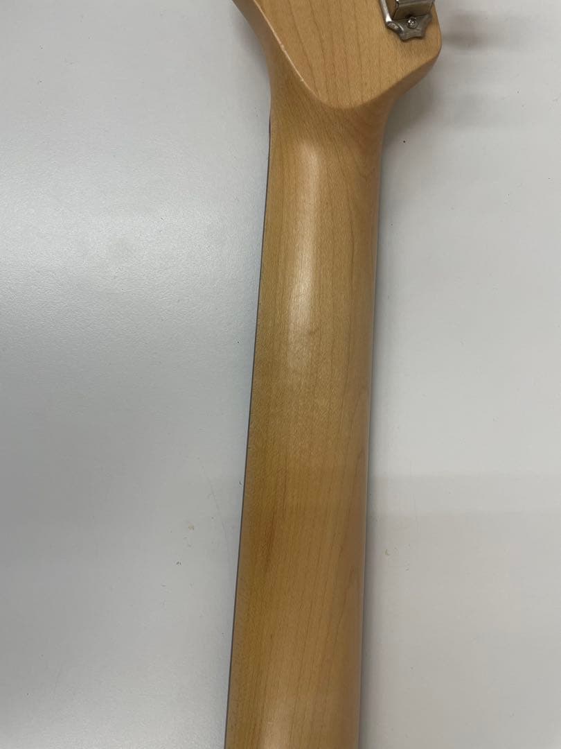 限定生産モデル Schecter OL-PT-TH ホロウボディ