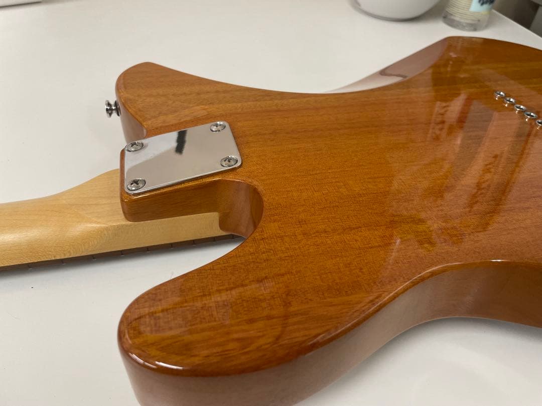 限定生産モデル Schecter OL-PT-TH ホロウボディ