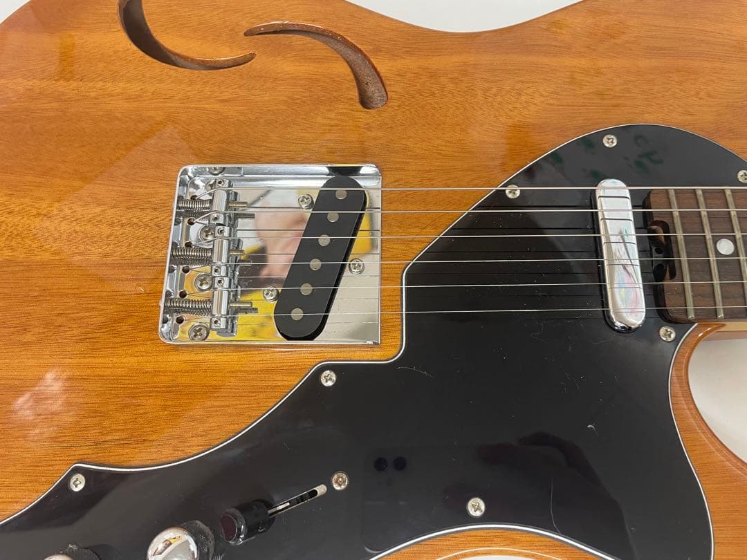 限定生産モデル Schecter OL-PT-TH ホロウボディ