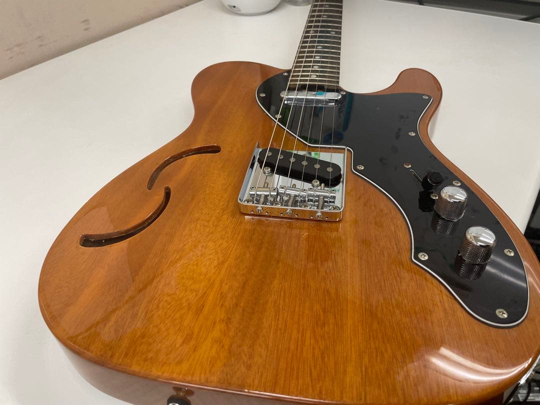 限定生産モデル Schecter OL-PT-TH ホロウボディ