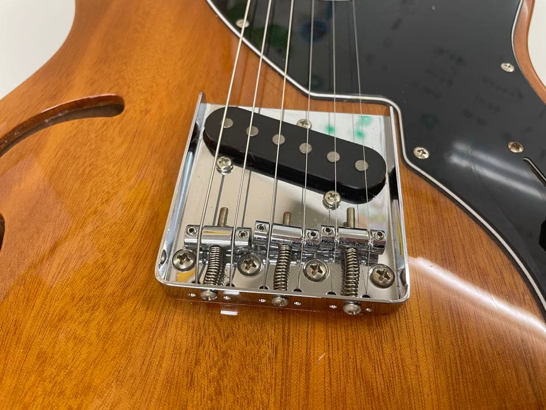 限定生産モデル Schecter OL-PT-TH ホロウボディ