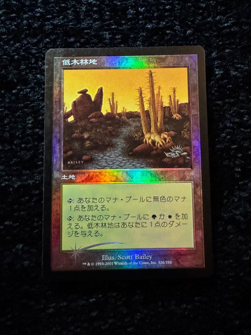 MTG 低木林地 7版 日本語 ホイル Foil マジックザギャザリング