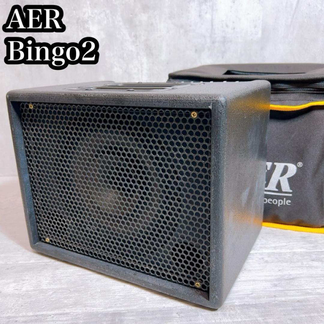 【稀少】【動作品】AER Bingo2 アコースティックアンプ
