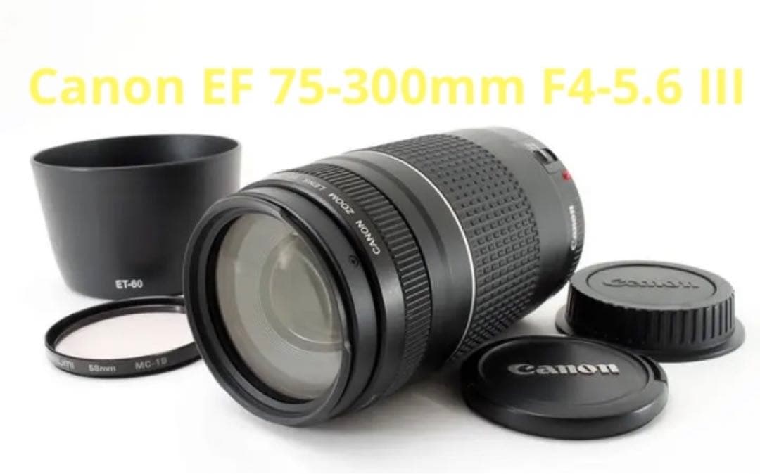 望遠レンズ　デジタル一眼レフカメラ Canon EF 75-300mm
