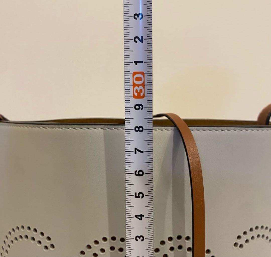 LOEWE ロエベ アナグラムバケットバッグ　極美品！