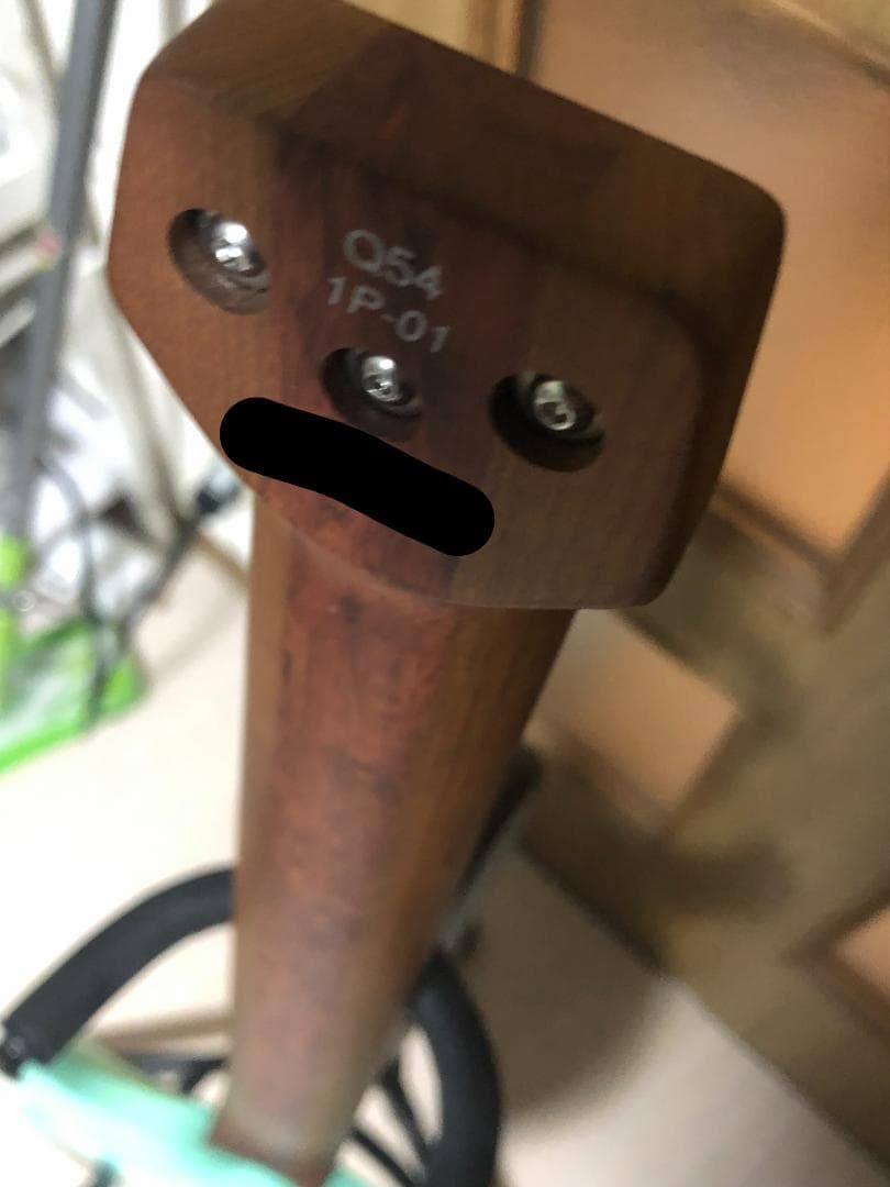 ギター Ibanez Q54-SFM