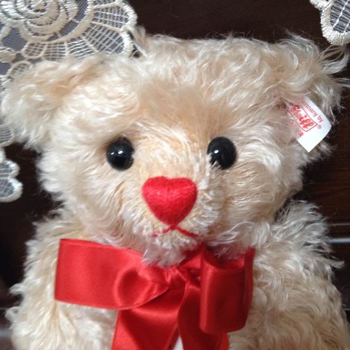 ぬいぐるみ シュタイフ テディベアチャリティーベア